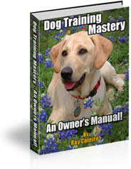 Dog Training Mastery