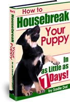 Housebreak Your Puppy in 7 Days