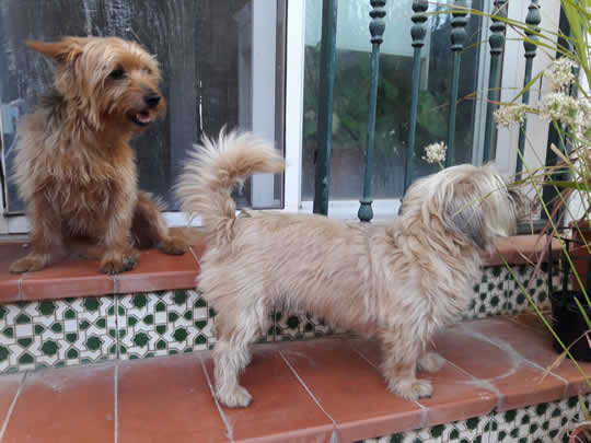 mia and betty on the steps