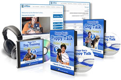 Doggy Dan's Online Dog Trainer